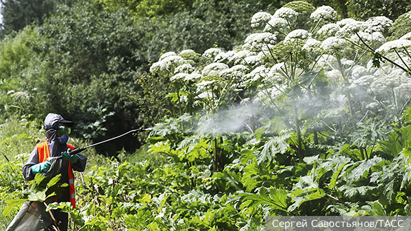     Фото: Сергей Савостьянов/ТАСС   
 Текст: Дмитрий Зубарев