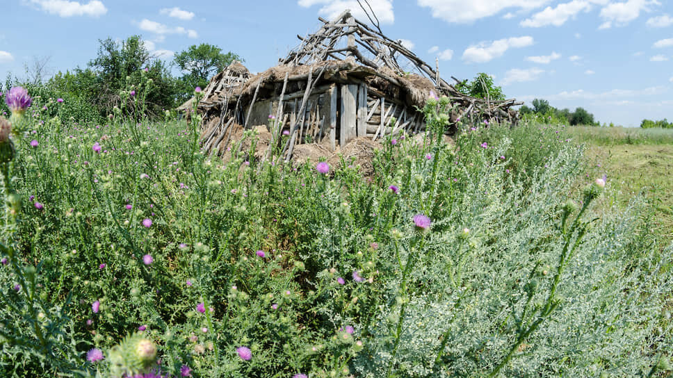 Фото: Олег Харсеев / Коммерсантъ