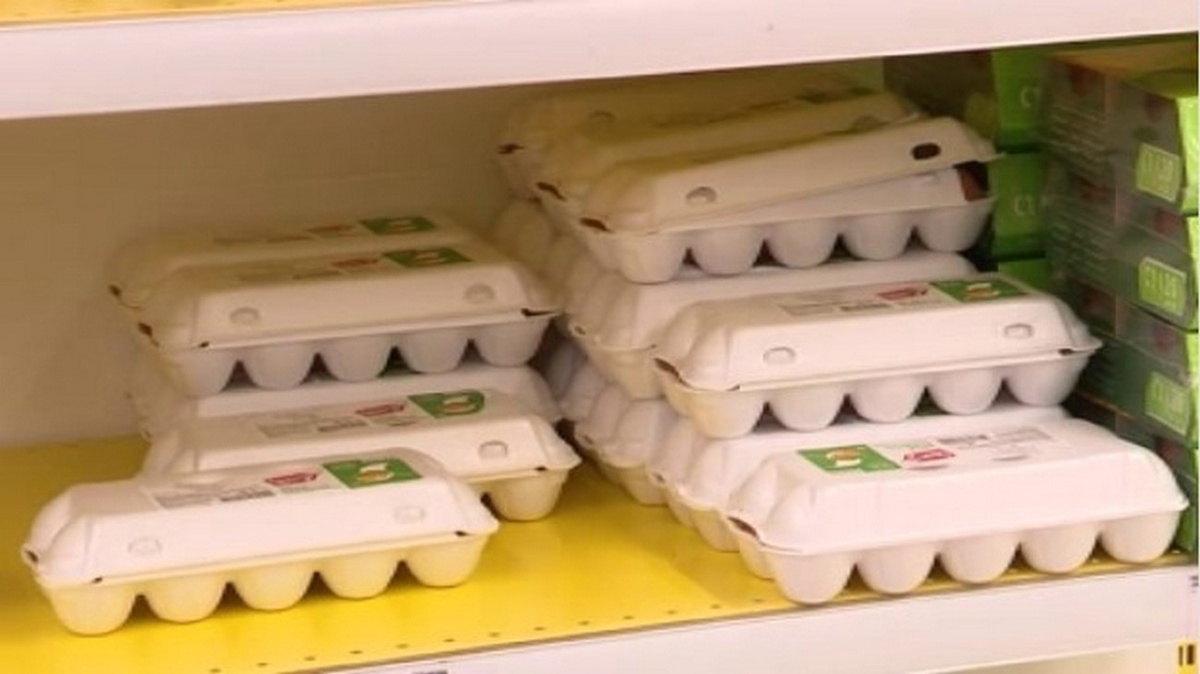    Цены на куриные яйца в курских магазинах устойчиво снижаются
