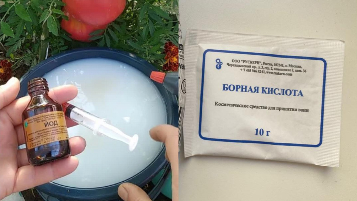 Весь арсенал для стимуляции завязи - 50 рублей против 300 за магазинный препарат