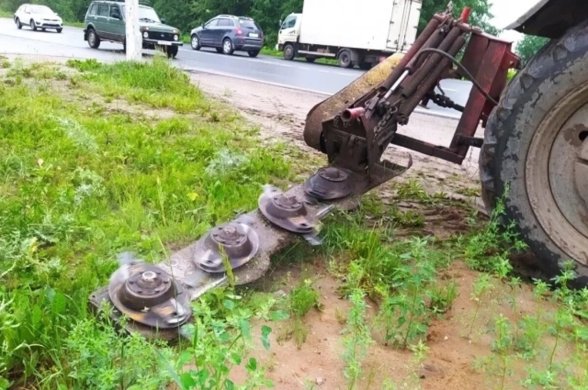    С каждым годом борщевик захватывает всё новые территории.