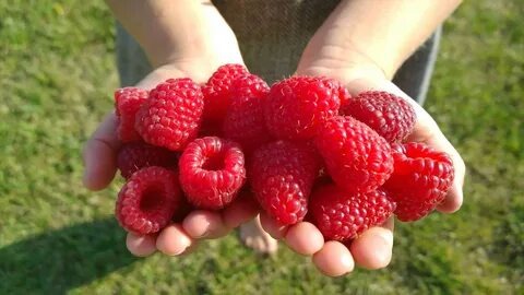 источник: https://avatars.mds.yandex.net/i?id=f4b90a1a896f9ac201e88644a4882135250acbcf-12646988-images-thumbs&n=13