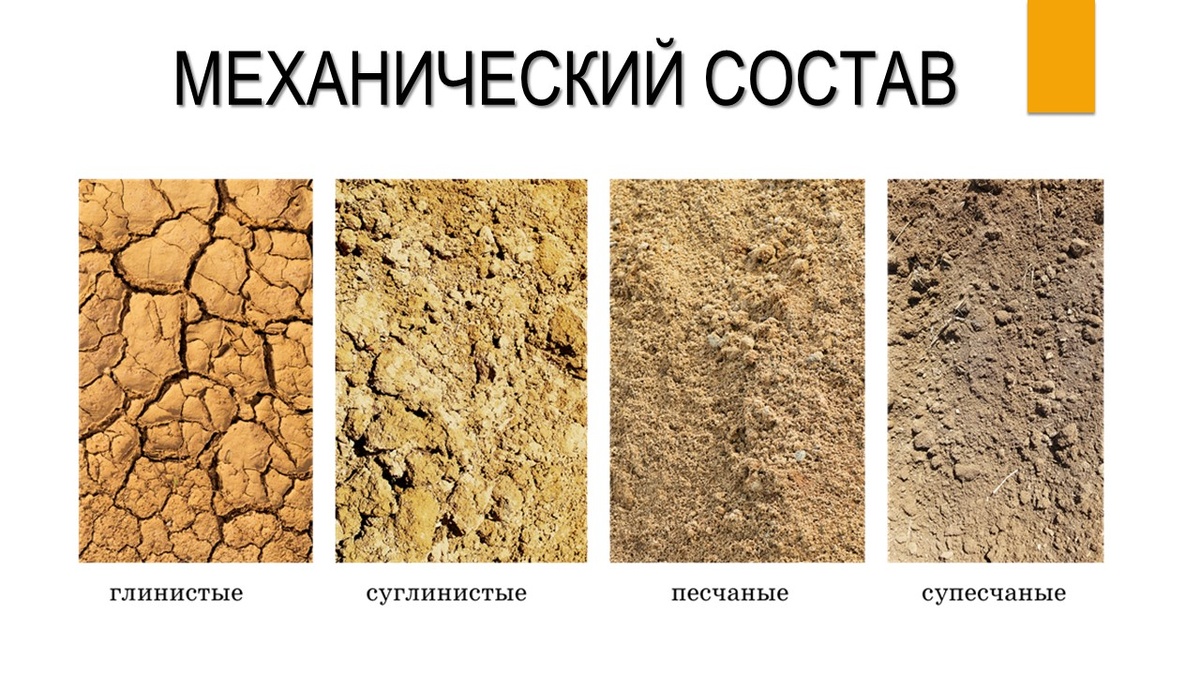 источник: https://otlichaet.com/wp-content/uploads/1/3/f/13fe0071cca73689425ee1c337bcf3ef.jpeg