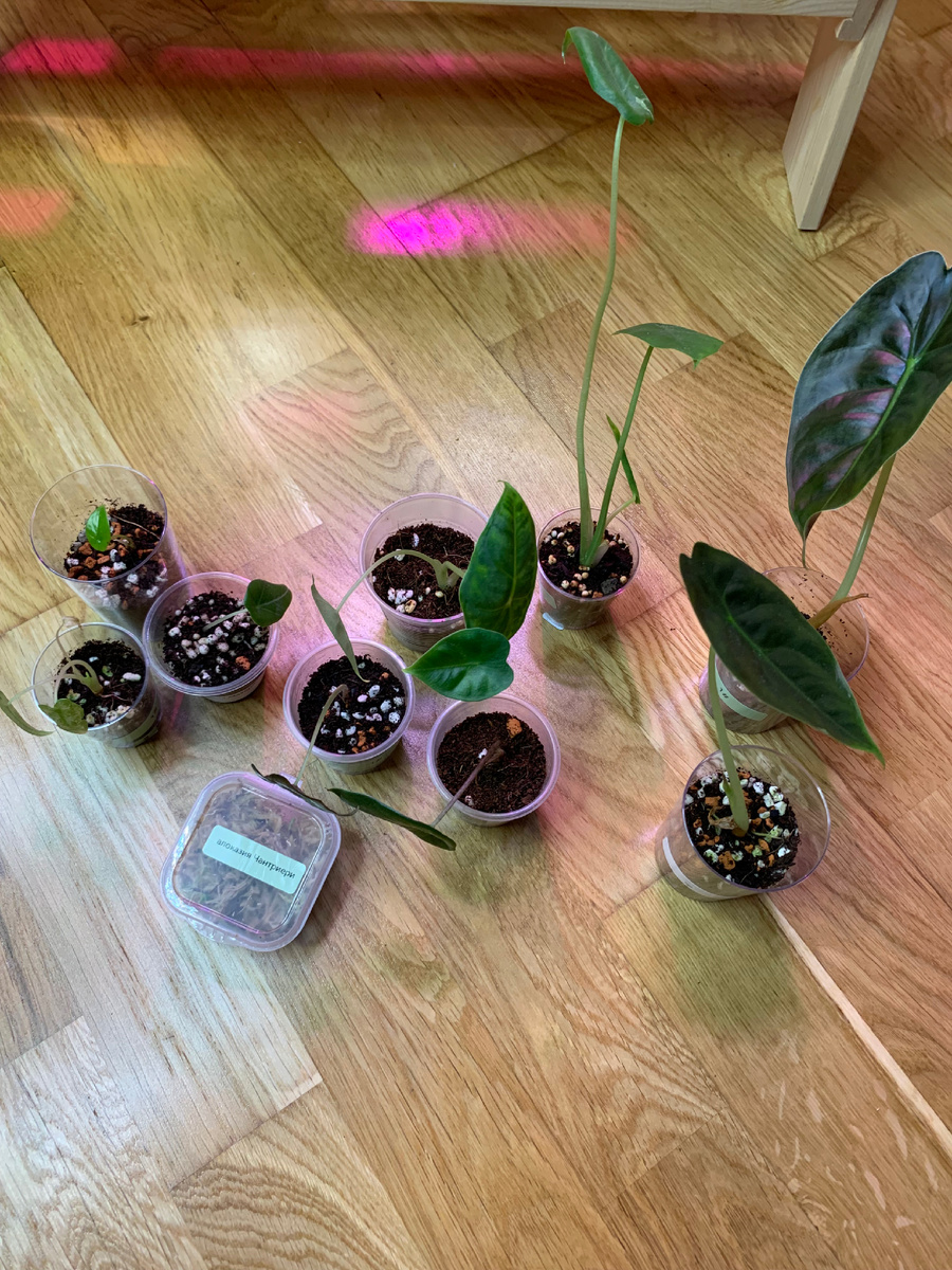 1 апреля были вот такие