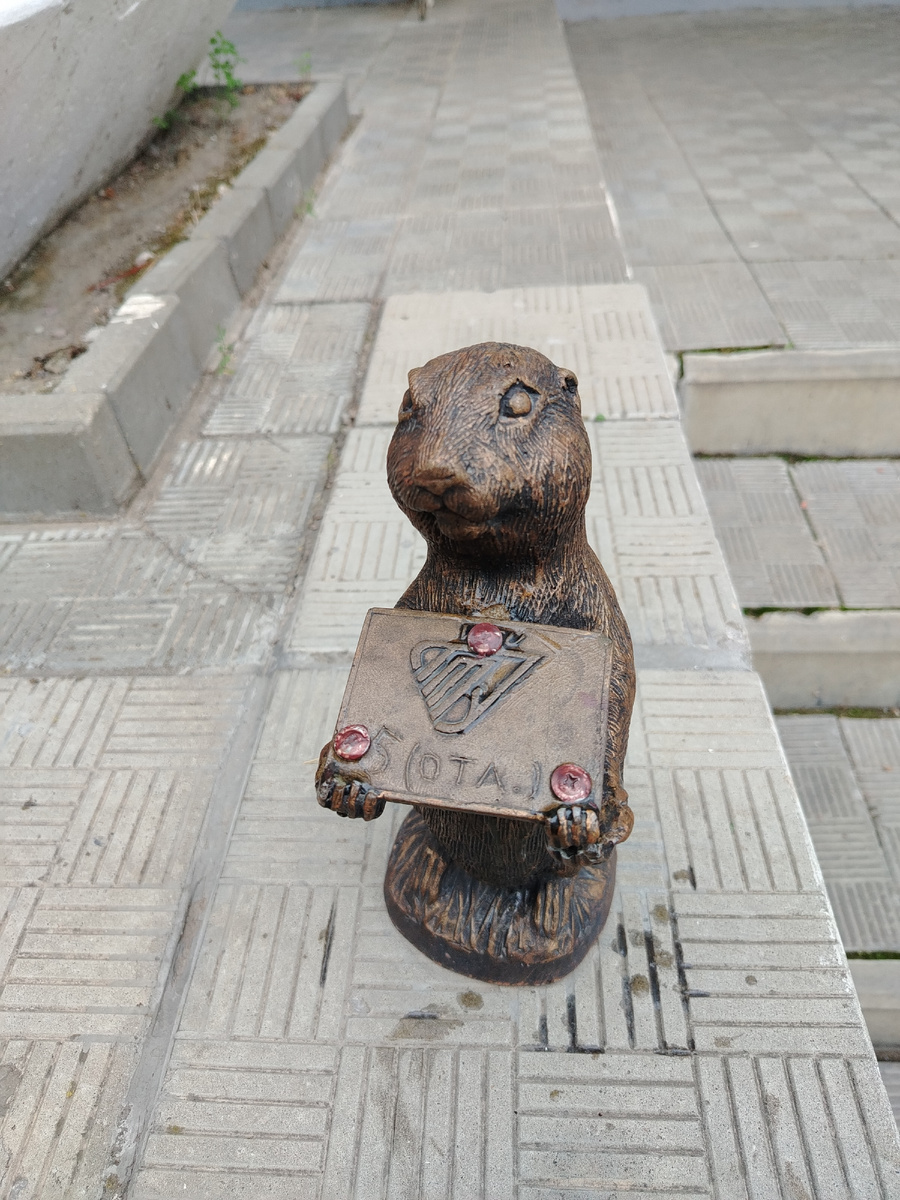 Фото автора сделано у Политехнического университета