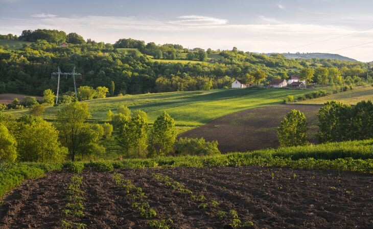 Фото: . freepik.com