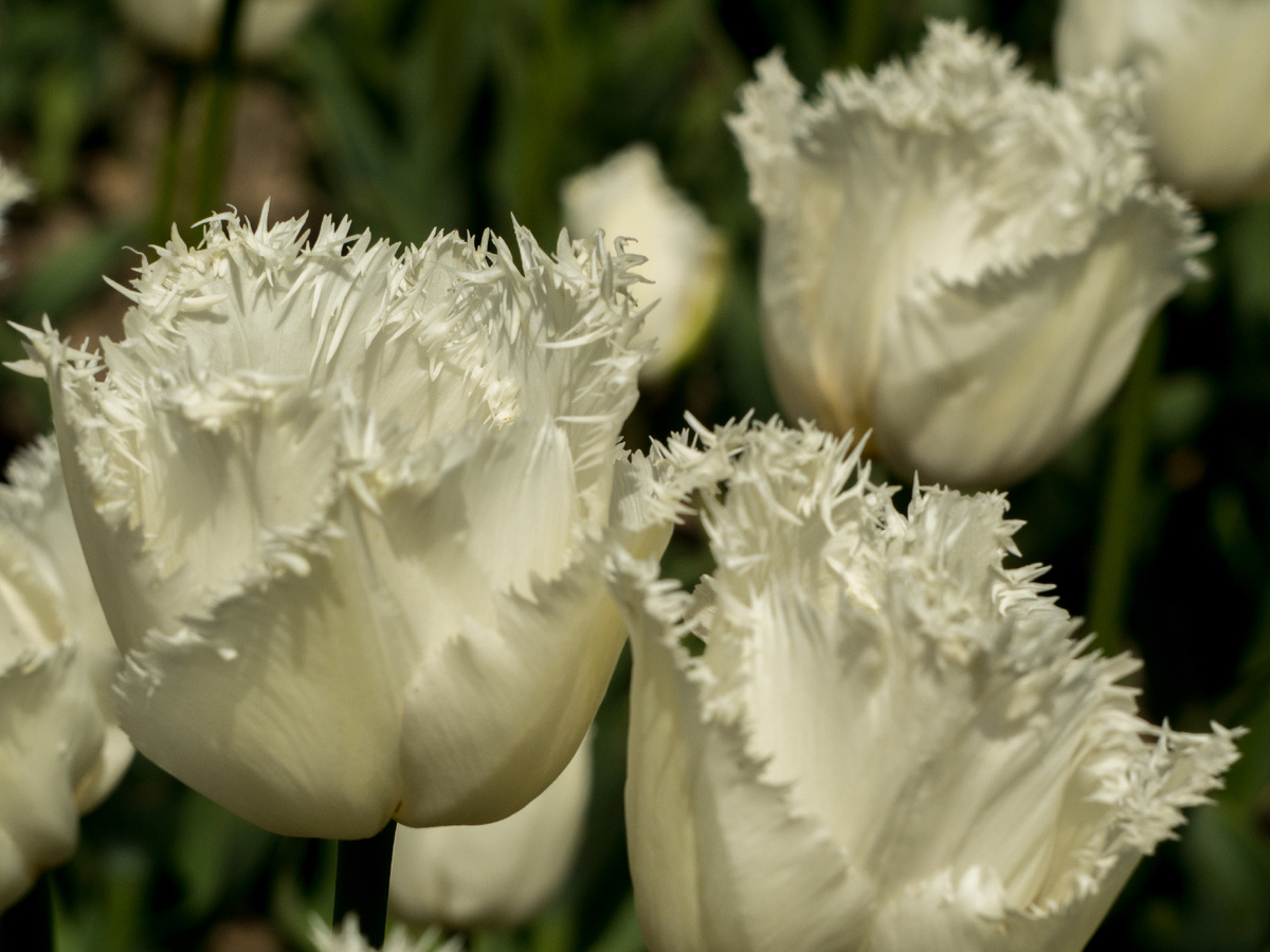 Designed by Freepik. Источник: www.freepik.com