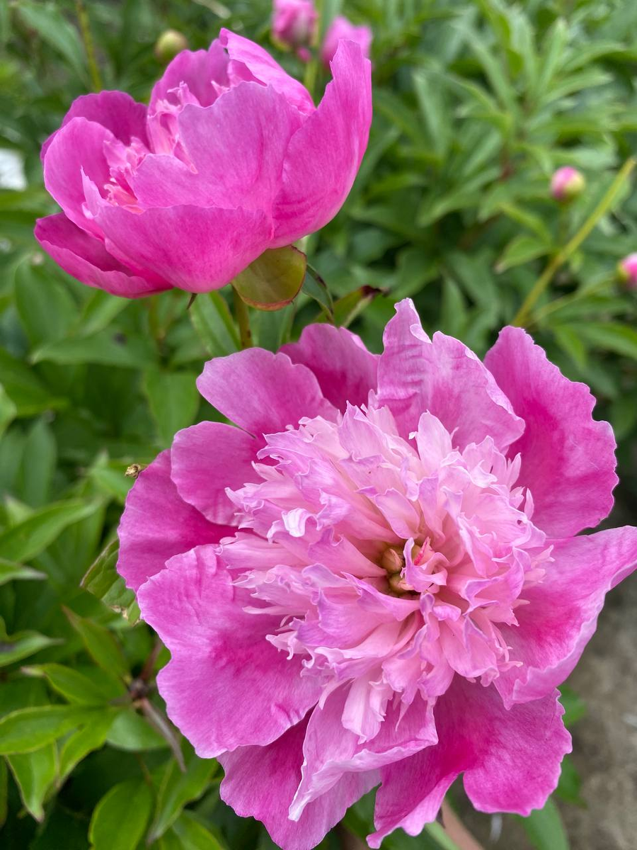 Фото из личного архива