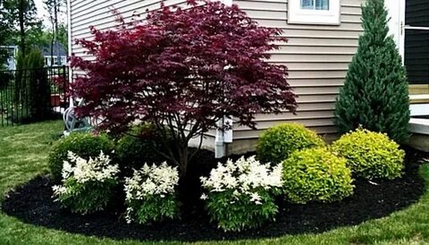 источник: https://id.pinterest.com/p27kolstad/front-yard-landscaping/