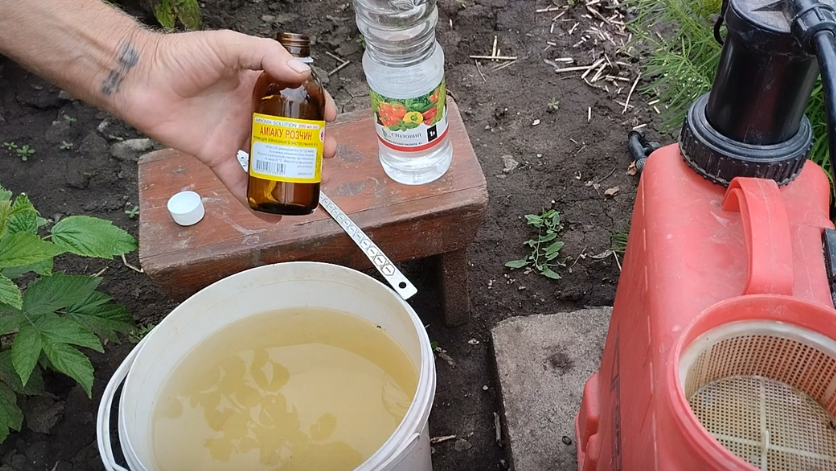 Простейшая подкормка - нашатырь из аптеки и обычная вода