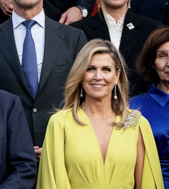 Королева Максима. Брошь поближе. Источник фото: https://royalwatcherblog.com/2025/06/24/nato-dinner-at-the-huis-ten-bosch-palace/