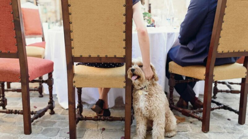 фото: freepic.diller / freepik.com