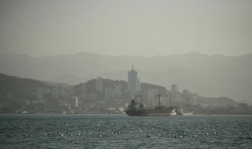     © РИА Новости. Илья Питалев