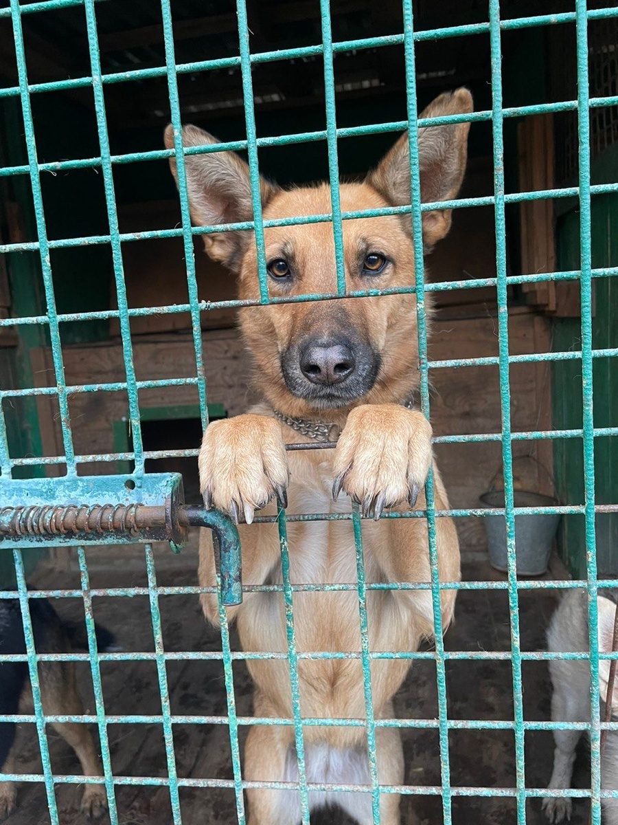 Не выйду! Давайте вот так общаться!