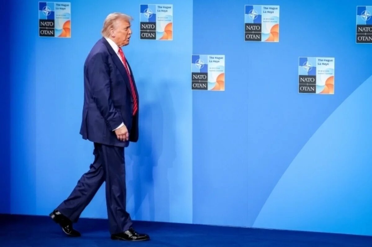    В США сделали видео с Трампом после саммита НАТО под песню «Папочка дома»