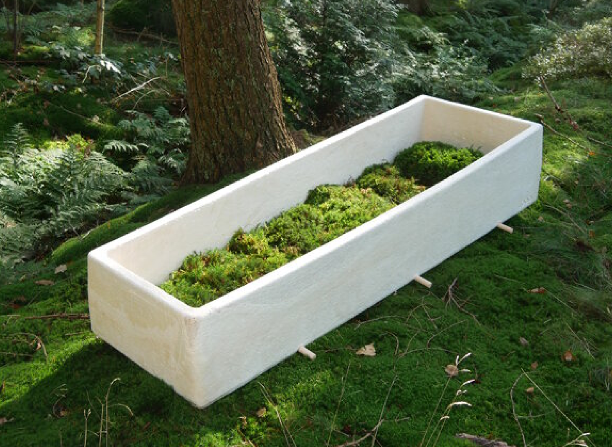 Гроб из мицелия грибов