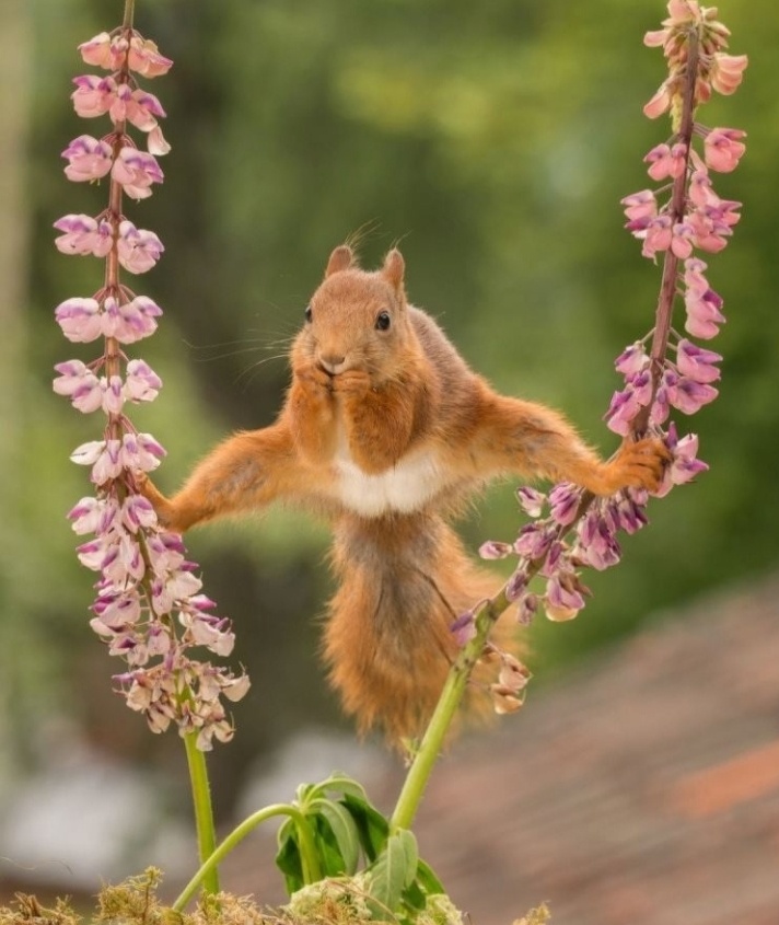 Картинка из интернета 