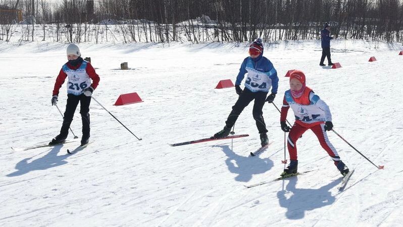    Фото: Андрей Ткачев / «Ямал-Медиа»
