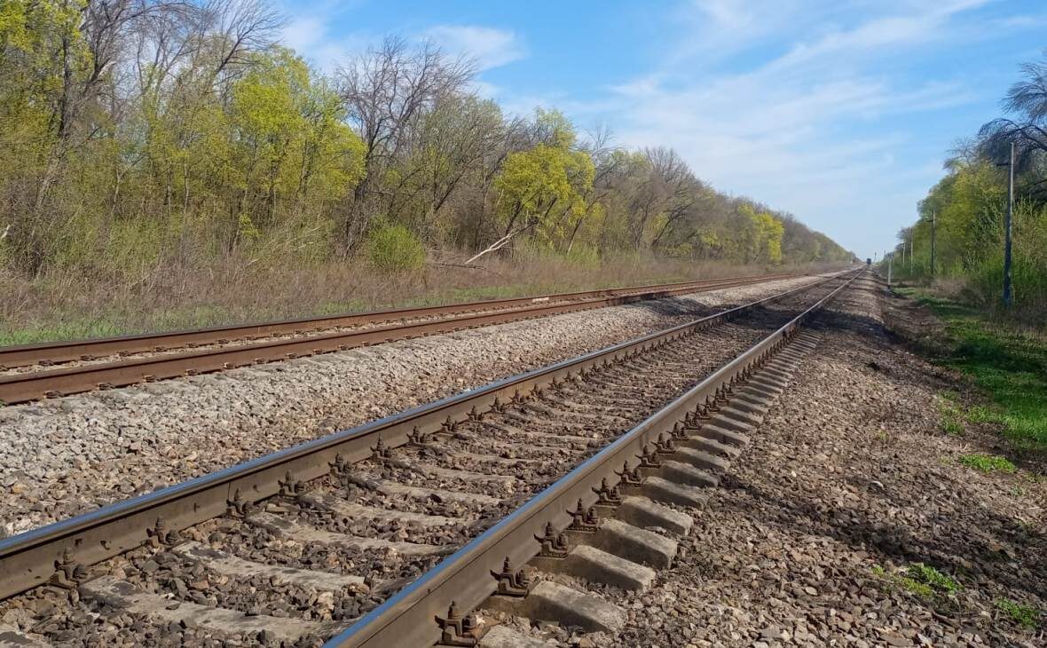 Фото: РБК Черноземье