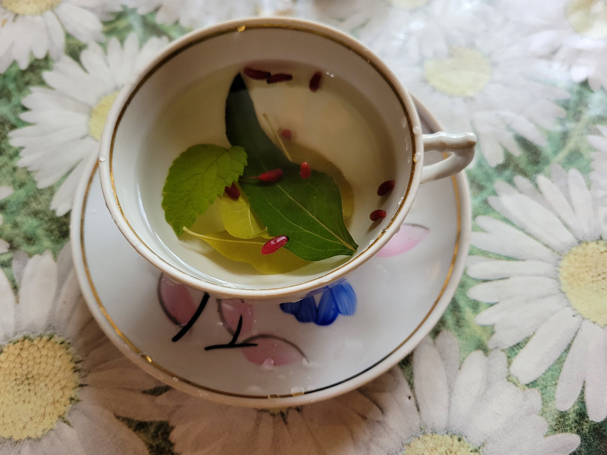 Травяной чай