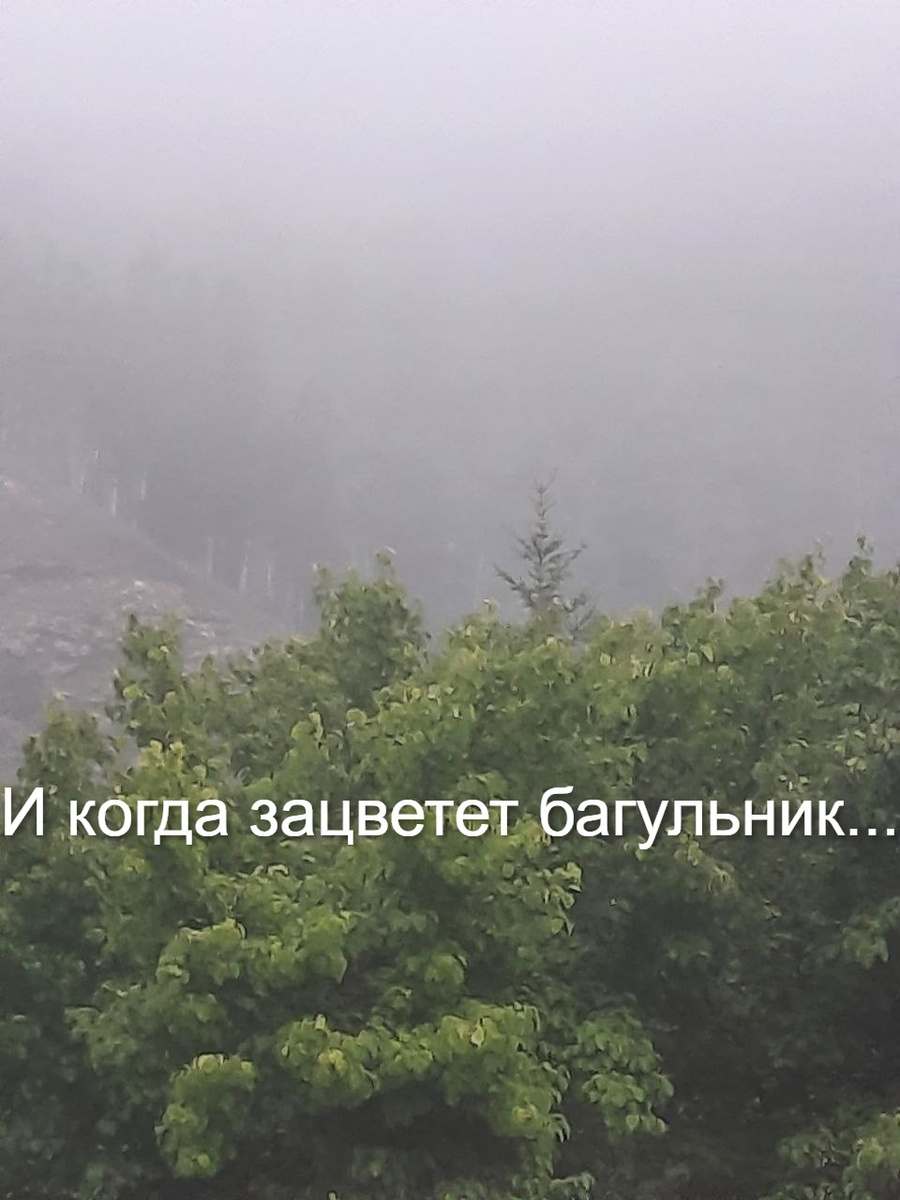 Фото автора.