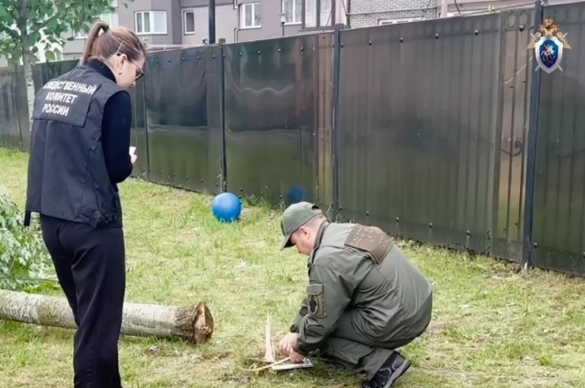    После падения дерева на ребенка в детском саду возбудили дело о халатности