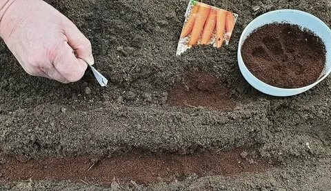 источник: https://dzen.ru/a/ZWmUjQPAilnxEFjb