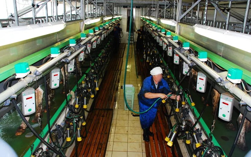    Доярка погибла на рабочем месте в Удмуртии