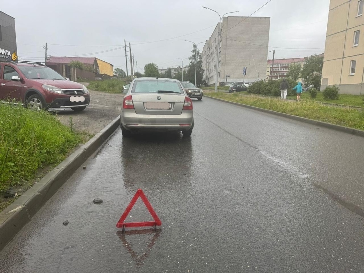    Фото: Госавтоинспекция Петрозаводска / ВК