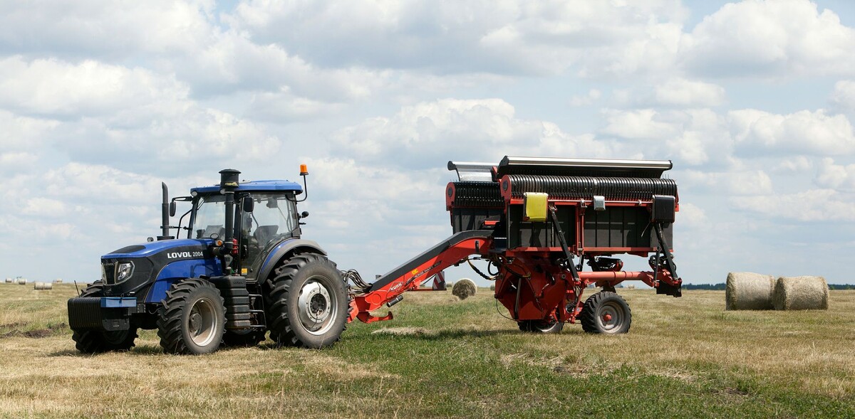     / Источник: © Nikolay Gyngazov/Global Look Press