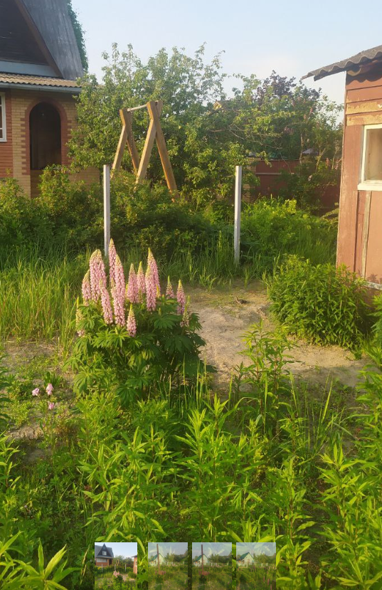 Личное фото