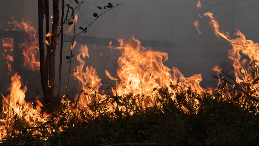    Фото: © РИА Новости/Илья Тимин; 5-tv.ru