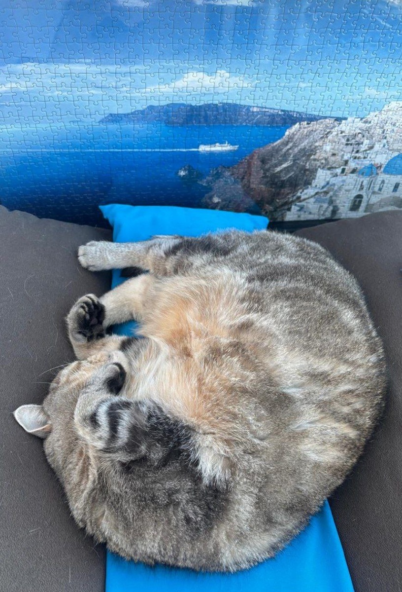 #Астропрогноз на 26 июня 2025. Ключевые аспекты дня