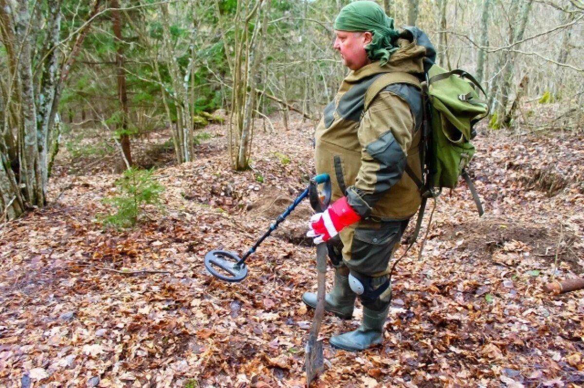    79 останков советских воинов нашли в Мурманской области в 2024 году