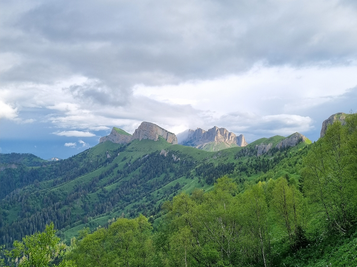 Фото автора, июнь 2025 г.