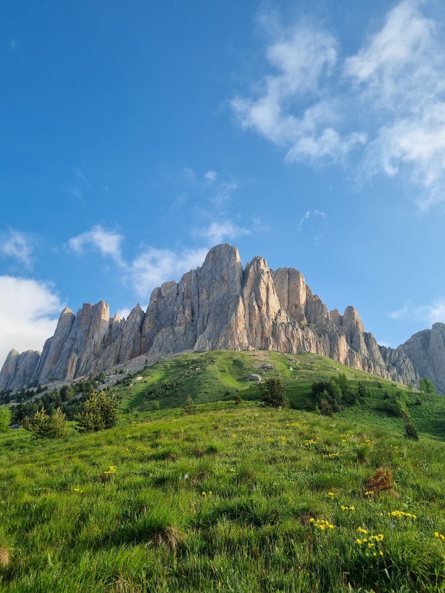 Фото автора, июнь 2025 г.