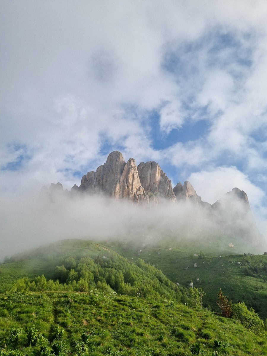 Фото автора, июнь 2025 г.