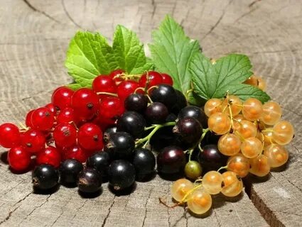 источник: https://dzen.ru/b/YmeurhTy_0IcBqMS