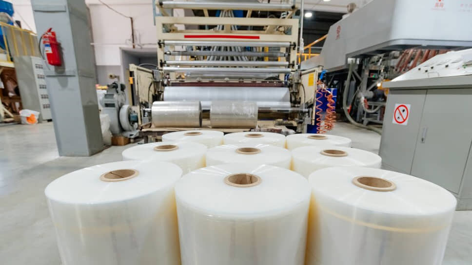 Фото: пресс-служба правительства Ростовской области