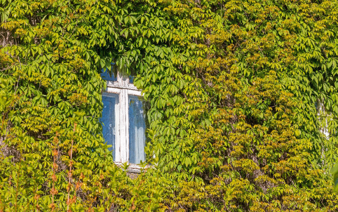 Источник фото: shutterstock.com