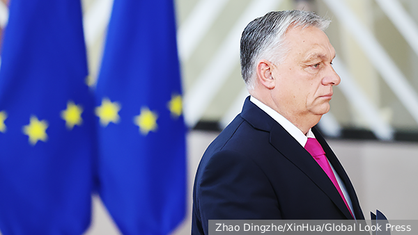     Фото: Zhao Dingzhe/XinHua/Global Look Press   
 Текст: Мария Иванова