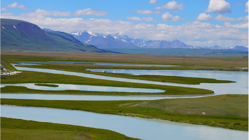 Подходящий памятник был обнаружен на берегу реки Кальджин, левом притоке Ак-Алахи, в 15 км от того места, где ранее была найдена «Принцесса Укока». «Здесь ощутимо холоднее, а, значит, больше шансов на мерзлоту»,— объясняет Вячеслав Молодин. Могильник получил название Верх-Кальджин-2.📷Фото: Наталия Рудая, ИАЭТ СО РАН