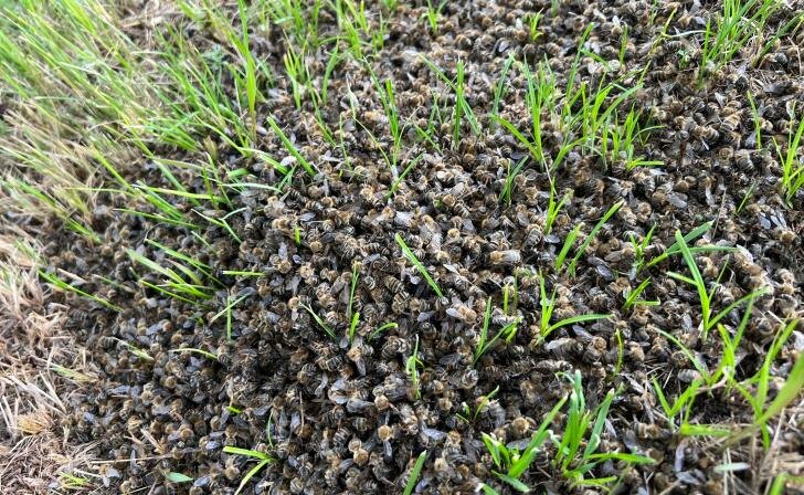    Фото Евгений Стёпкин