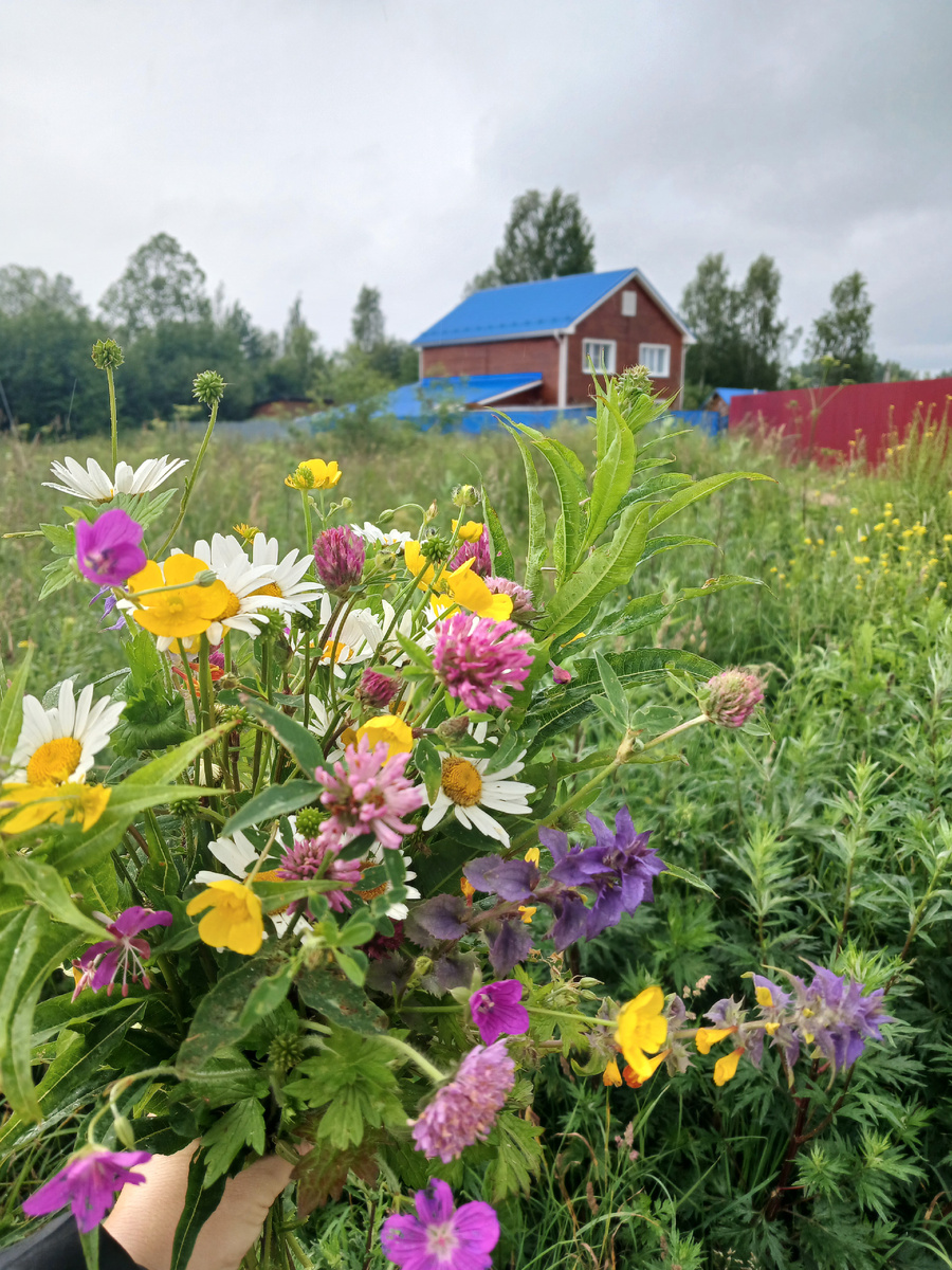 Дом со сказочным лугом