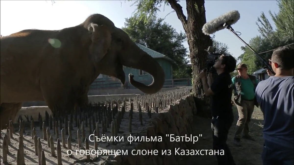 Источник фото ВКонтакте -https://sun9-28.userapi.com/s/v1/if2/HbLiMu-5WcU2cGGLz4Vz7FS7Jw00SEu8zAyH8A9ArGt-922NZH01BpsG9n3i8WgFXt0ig6cKv0LC2B7tuHAEqmsC.jpg?quality=95&as=32x18,48x27,72x40,108x61,160x90,240x135,360x202,480x270,540x304,640x360,720x405,1080x607,1280x720&from=bu&cs=1280x0