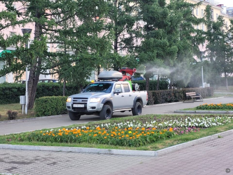    Обработка общественных территорий от комаров в Барнауле. Источник: barnaul.org