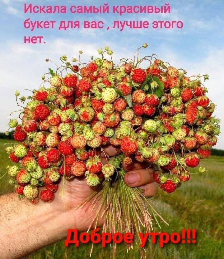 Источник инет