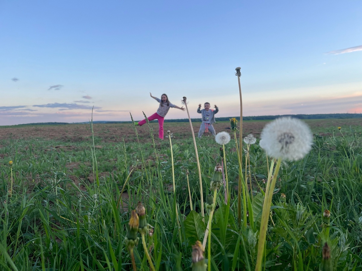    27 июня - Елисей Гречкосей: что можно и нельзя делать в этот праздник - народные приметы