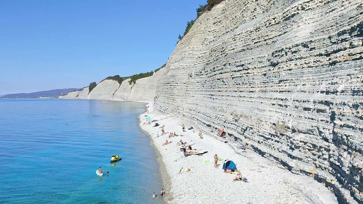 Фото: скриншот видео Рутуб "Звуки живой природы"
