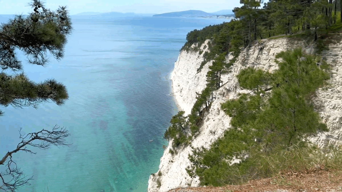 Фото: скриншот видео Ютуб «Главный Геленджик»